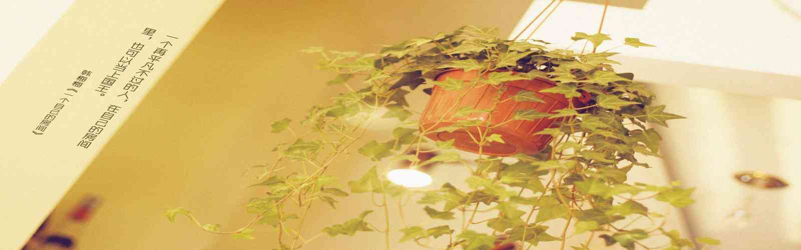 PG免费送2000试玩金